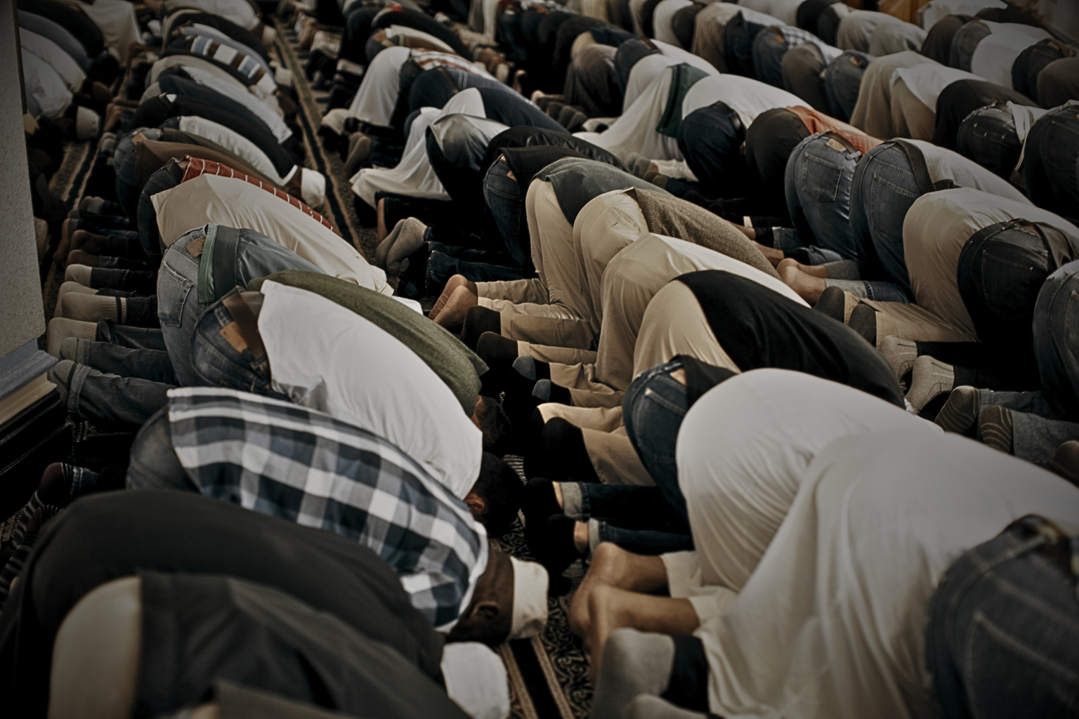 Timbro-högerns uppmaning: gör inte muslimerna arga